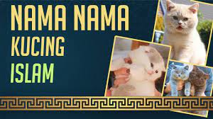 Nama kucing nabi adalah muezza, yang begitu dicintai dan dipelihara oleh nabi dengan sangat baik. Nama Kucing Yang Bagus Dalam Islam Youtube