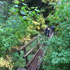 There is an access trail heading towards the waterfall (although it says do not enter). Mckenzie River Trail Shuttle With Horse Creek Lodge Bend Trails Gear