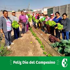 Celebrar fiestas patrias va mucho más allá de recordar la independencia del perú. Fundacion La Calera El 24 De Junio Se Celebra En El Peru El Dia Del Campesino Un Saludo A Los Hombres Y Mujeres Que Trabajan La Tierra Para Garantizar Alimentos En