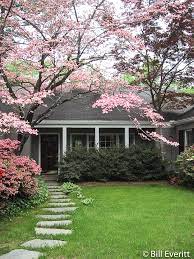 If you live in cold places, this plant is hardy to zone three. Flowering Dogwood The Intown Hawk