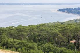 Les températures y sont très agréables, surtout durant l'été, qui est sûrement la meilleure saison pour y. Cinq Idees De Balades A Faire En Gironde