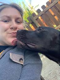 Jacob- Jake(y) 4 year old (seems a bit younger to me) pibble/lab mix  (maybe?) 🐾SWEET boy, loves to SMILE when he's excited, gives sweet little  kisses and bounces like Tigger. Cuddle bug!