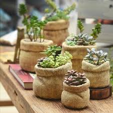 Garten Bedarf Garten Pflege Gartentypen Gemuse Garten Hof Krautergarten Miniaturgarten Terrassengarten In 2020 Ceramic Flower Pots Planting Pot Succulent Pots
