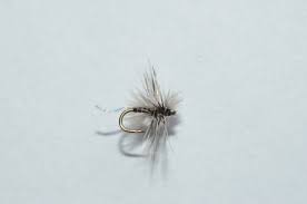 So how do you fly fish with midges? Midges On The Mind Fly Fusion