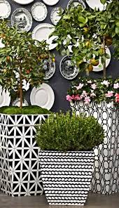 Black And White Pots For Plants A Corded Rope Pattern Wraps The Madison Black And White Planter In A Refreshing Twist Of Contemporary Designing White Planters Planters Garden Containers