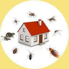 Are you troubled by pests? Aapex Pest Solutions Llc The Little Blue Book