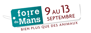 Toutes les autos qui ont marqué les 24h du mans avant guerre sont regroupées dans ce plateau 1 de le mans classic 2018. Foire Du Mans
