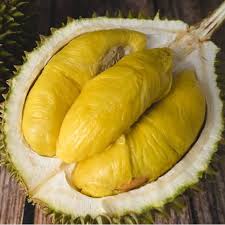 Nak jana pendapatan lepas bersara, lelaki ini kongsi cara tanam durian musang king. Jual Bibit Durian Musang King Asli Harga Bibit Durian Musang King