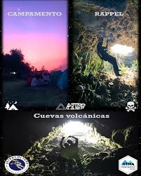 C H O N Los 4 elementos comunes en todos los organismos vivo son carbono  (C), hidrógeno (H), oxígeno (O) y nitrógeno (N); pero recientemente se han  agregado azufre (S) y fósforo (