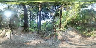 Forest Trail Outdoor Hdri High Dynamic Range Image In Hdr Format 360 Degree Spherical Panoramic Image For Image Based Li Forest Trail Panoramic Images Forest