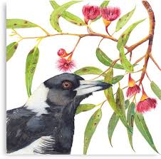 Australian Magpie And Eucalyptus Blossoms Watercolour Painting Canvas Print By Zoya Makarova Watercolour Painting Art Painting