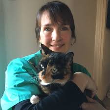 Stalbridge & Marnhull Veterinary Surgery