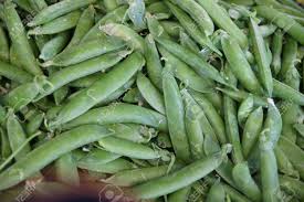 We did not find results for: English Peas Garden Peas Pisum Sativum Common Peas With Green Plump Pods With Rounded Seeds Shelled To Remove Seeds Cooked As Vegetable In Combination With Other Vegetables Stock Photo Picture And Royalty