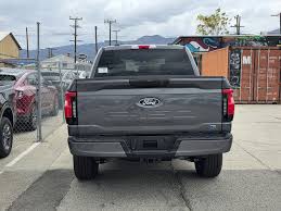 Image result for Carbonized Gray 2025 Lightning