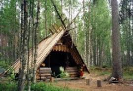 Unbelievable Primitive Houses And Bushwhack Ideas Engineering Basic Bushcraft Shelter Bushcraft Bushcraft Camping