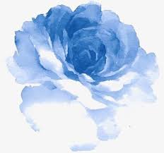 Blue Watercolor Flowers Watercolor Clipart Watercolor Flowers Blue Flowers Png Transparent Clipart Image And Psd File For Free Download Flower Drawing Blue Drawings Watercolor Rose