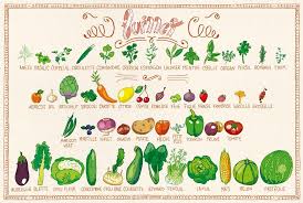 Https Mrmondialisation Org Wp Content Uploads 2015 07 11696800 102055761 Calendrier Fruits Et Legumes Legumes De Saison Septembre Fruits Et Legumes De Saison