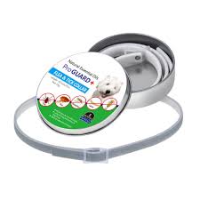 kopek tasmasi kene pire anti bocek sivrisinekler su gecirmez uzun omurlu 8 ay koruma lxy9 store www8 fabrikatoptan org