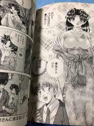 日本代購代標第一品牌【樂淘letao】－白泉社ふたりエッチ12 マイベストリミックスピンナップ付き送料無料