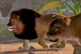 I like this one because pretty soon because of poaching there won' t be any left alive if people don't start protecting them. List Of Official Animals In Zoo Tycoon Xbox Zoo Tycoon Wiki Fandom