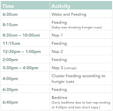 Schedules For Babies Margarethaydon Com