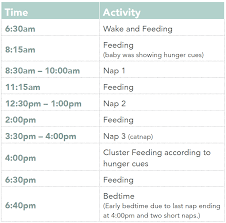 schedules for babies margarethaydon com