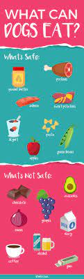 Most People Food Isn T Good For Dogs But Here Are The Ones That Are Safe To Share Can Dogs Eat Foods Dogs Can Eat Dog Safe Food