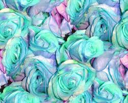 Check spelling or type a new query. Mint Flower Wallpapers 4k Hd Mint Flower Backgrounds On Wallpaperbat