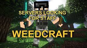 You can look at the formats other servers . Minecraft Servers Looking For Staff Members Weedcraft Youtube