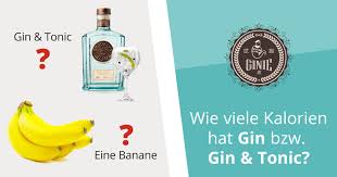 Wie Viele Kalorien Hat Gin Bzw Gin Tonic Ginie De