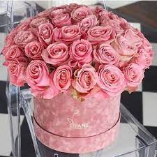 Rose Flowers And Pink Image Flower Boxes Velvet Flowers Flower Box Gift