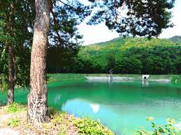Aby bol každý spokojný, okolia jazier ponúkajú možnosti požičať si čln alebo vodný bicykel, ktorý je v lete. Aj Na Slovensku Mame Skvele Miesta Na Kupanie Na Ktore Sa Vyberiete Refresher Sk