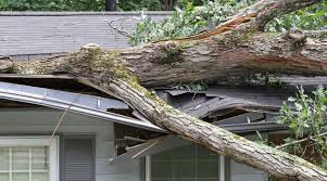 Check spelling or type a new query. Insurance Mitigation Roof Damage Arry S Roofing Services Inc