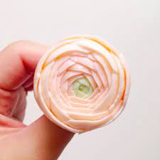 Buttercream Ranunculus Eat Cake Be Merry Custom Cakes For Merry Occassions Butter Cream Korean Buttercream Flower Eat Cake