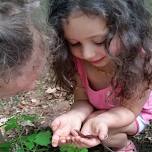 Family Volunteering Series: Improve Soil Health