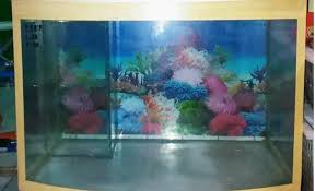 Model aquarium mini berikutnya bisa dibuat dari botol alkohol bekas. Jasa Servis Aquarium Ikan Hias