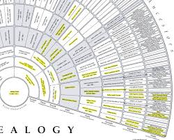 Getting Started With X Dna Genealogy Research