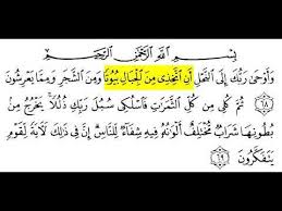 Terjemahan perkata per kata, tafsir ~ audio reciter. Pin On Madni Punching