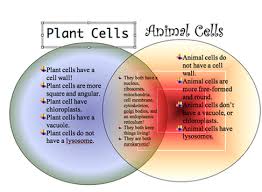 Carries genetic information and controls what happens inside the cell. Animal Plant Cell Compare And Contrast Google Search Plant And Animal Cells Plant Cell 5th Grade Science