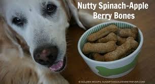 Tasty Thursday Blueberries Nut N Honey Dog Treats Golden Woofs Dog Treats Dog Food Recipes Puppy Treats