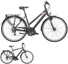 Pegasus Solero Sl Sport 2018 24 Gang Zeg Radsport Bieg Lorrach