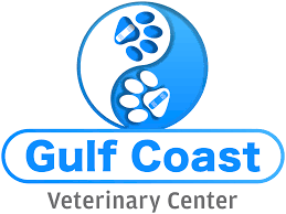 Check spelling or type a new query. Veterinarian Near Me 33625 Gulf Coast Veterinary Center Of Tampa