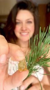 Unique Gifts from Foraged Pine Tree Finds