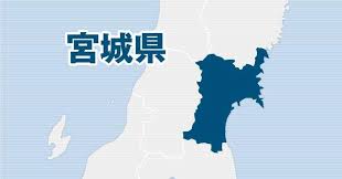 Yahoo!ニュース - News update