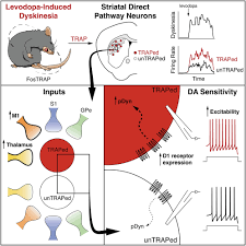 Rose Creed (@RoseCreed1)