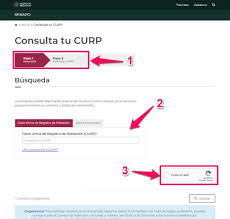 Esta herramienta no almacena ningún dato como indicamos en nuestra política de. Donde Se Consulta La Curp El Rincon De Edy