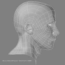 Head Wireframe From The Side Wireframe 3d Anatomy 3d Art