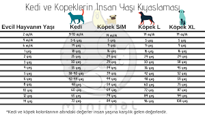 kedi ve kopek yasi hesaplama minimalvet com