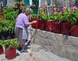 Plant pots usually come in pale greens and earthen browns and can be aesthetically unappealing. Old Greek Lady Painting Plastic Plant Pots Stock Photo Picture And Royalty Free Image Image 60445406