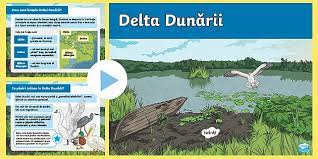 Delta dunării reprezintă cea mai nouă unitate naturală din țara noastră. Delta DunÄƒrii Prezentare Powerpoint Teacher Made